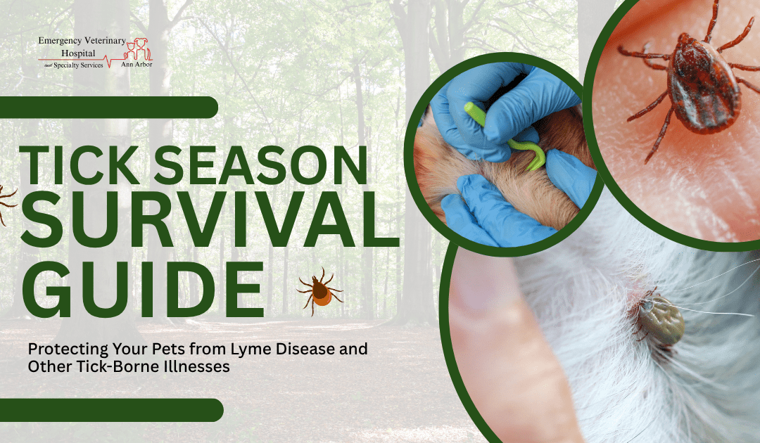 Tick Season Survival Guide: Protecting Your Pets from Lyme Disease and Other Tick-Borne Illnesses